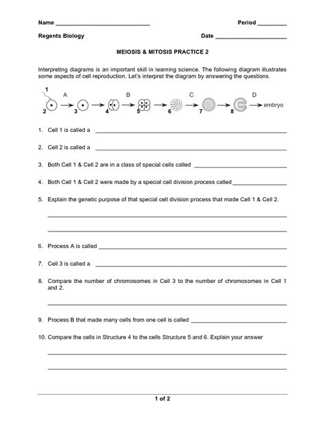 Meiosis vs mitosis worksheet key. 16 Best Images of Meiosis Practice Worksheet - Meiosis and ...