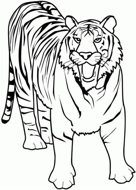 Tiger Stencil Printable Clipart Best