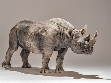 El Hurgador Arte En La Red Rinocerontes Lxxiii