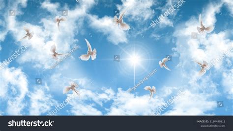 Dove Flying On Cloud Over 4910 Royalty Free Licensable Stock Photos