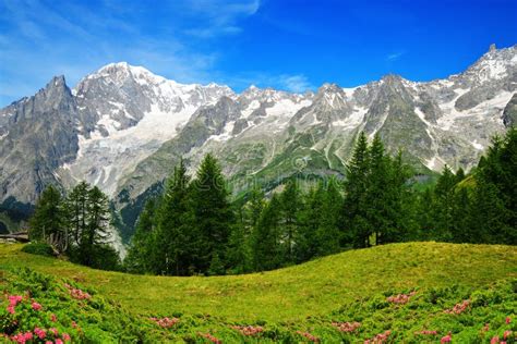 Vue Sur La Chaîne Montagneuse Du Mont Blanc Monte Bianco Aux Beaux