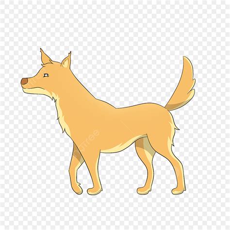 Dingo Png Vector Psd And Clipart With Transparent Background For