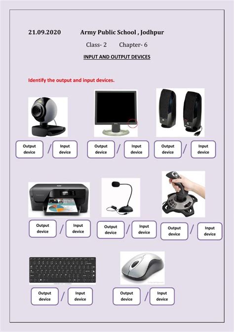 Input And Output Devices Interactive Worksheet Computer Science