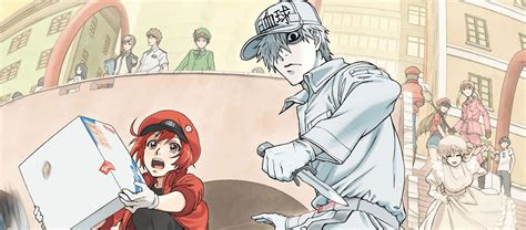 Top Cells From Cells At Work On Anime Trending Anime Trending Your