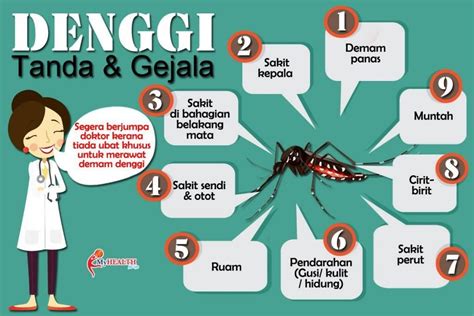 Demam Denggi Punca Simptom Dan Cara Rawatan The Diagnosa