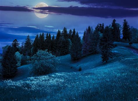 Full Moon On Winter Night Hd Wallpaper Background Image 2560x1879 Id883894 Wallpaper Abyss