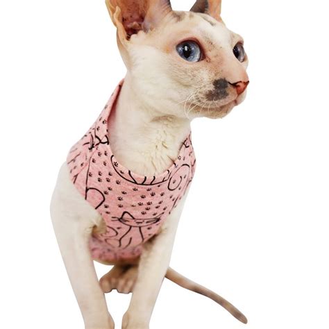 Pin By Jon Dobrowsky On Cats Sphynx Cat Clothes Cat Clothes