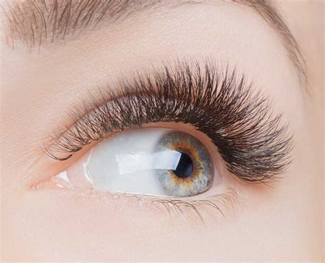 3d volume lash extensions all the times when you opted this proc