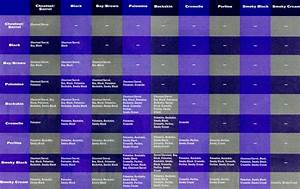 Use This Handy Color Cross Chart From America 39 S Horse Daily To