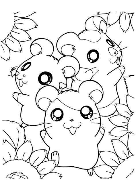 All click hamster coloring pages view printable version color online compatible with ipad android tablets page best kids. Hamster Pictures To Print - Coloring Home