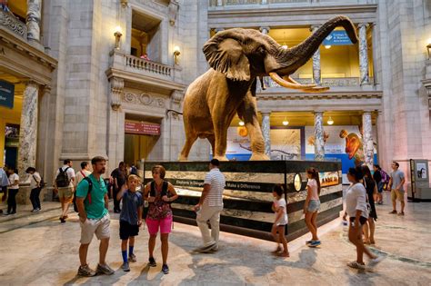Best Museums In Washington Dc With Exhibits Worth Visiting Thrillist