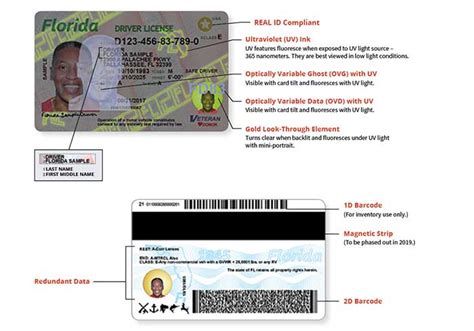 State Of Floridas New Driver License And Id Card