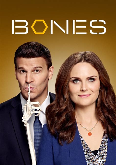 Bones Temporada 9 Ver Todos Los Episodios Online