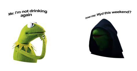 First Ever 360 Degree Meme Is Kermit The Frog