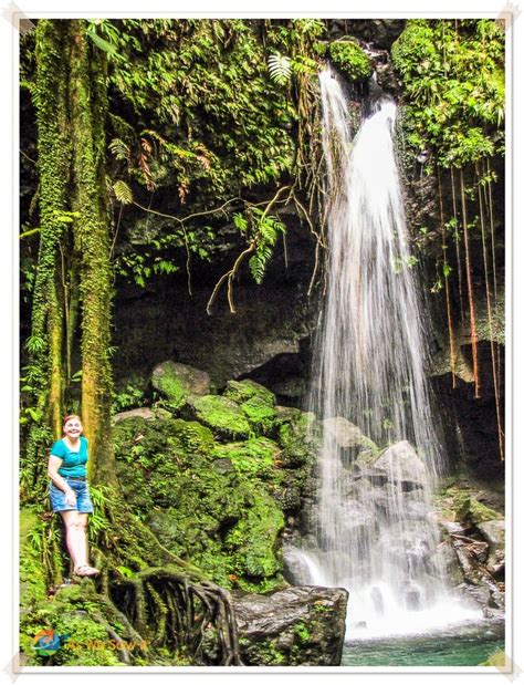 6 best things to do in roseau dominica beautiful waterfalls dominica postcard