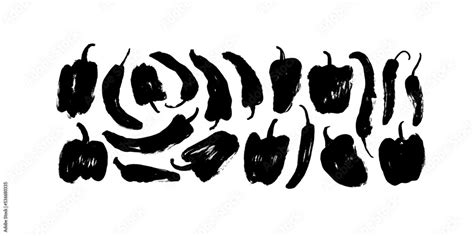Set Of Hand Drawn Chilli Peppers And Capsicums Brush Drawn Vector