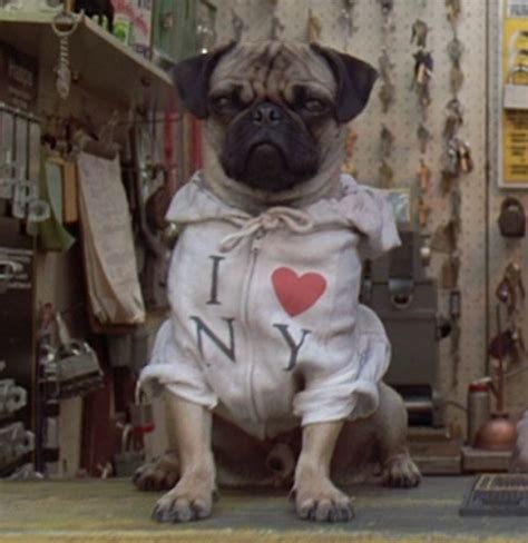 Image Frank The Pug Ss 01 Men In Black Wiki Fandom Powered By