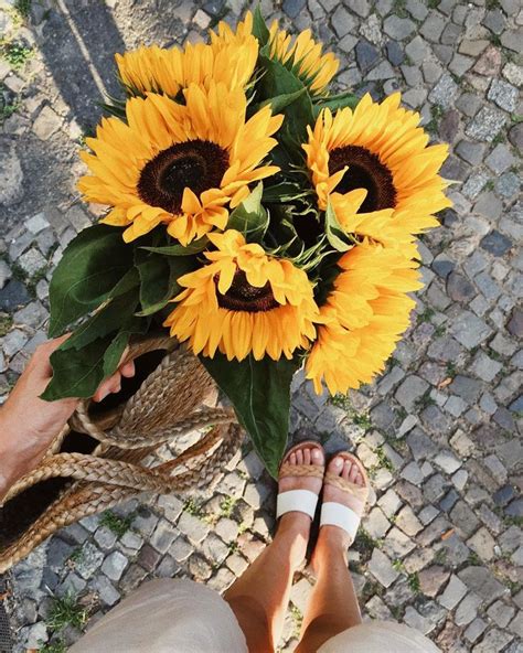 Sonya Khegay On Instagram “sunflowers Is Always A Good Idea 🌻 самые