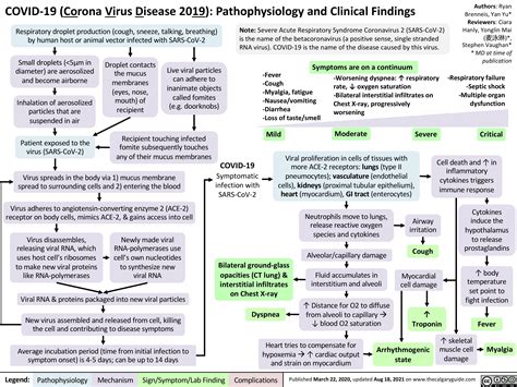 Covid 19 Pathophysiology And Clinical Findings Calgary Guide