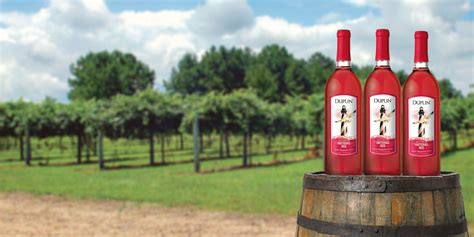 Duplin Winery Heres Why Everyone Thinks Hatteras Red Is The Best Red Wine
