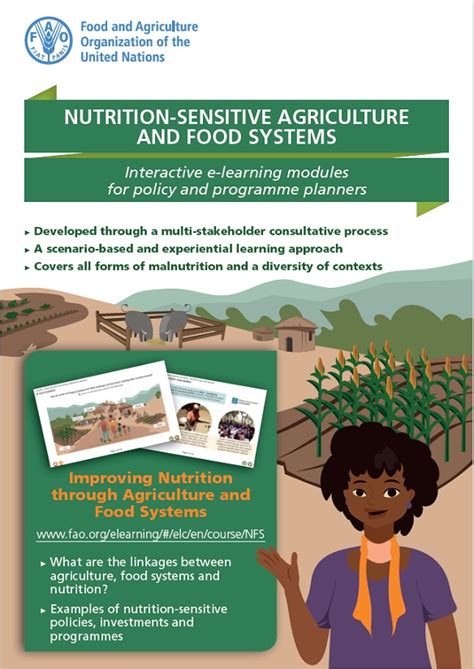 E Learning Modules On Nutrition Sensitive Agriculture And Food Systems Policy Support And