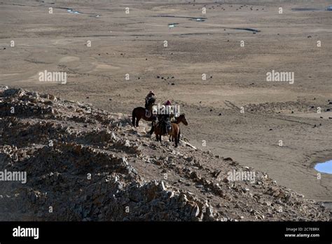 Kazakh Nomads On Horseback Hunting With Golden Eagles In The Altai