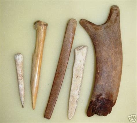 Native American Bone Tool Artifacts 5 Pieces 36168762