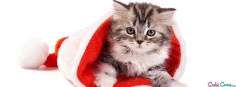 Santa Paw S Is Coming To Town Facebook Covers Christmas Cats Pretty