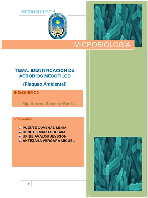 Aerobios Mesofilos Microorganismo Bacterias