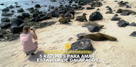 guía de galápagos archivos chokotrip viajando por las américas y galápagos blogger de ecuador