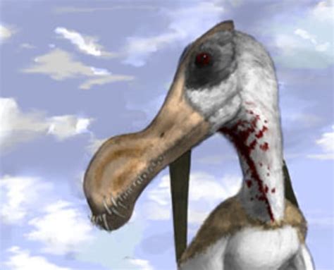 Worlds Largest Toothed Pterosaur Discovered