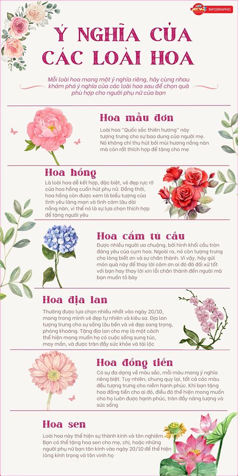Inforgraphic Ý Nghĩa Của Những Loài Hoa Cho Ngày Phụ Nữ Việt Nam Đài