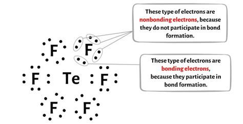 Tef6 Lewis Structure In 5 Steps With Images