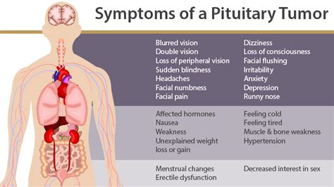 Pituitary Tumor