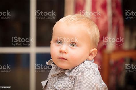 Portrait Of Cute Baby Boy Child Kid Indoor Stock Photo Download Image