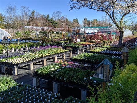 Garden Center Tewksbury Florist And Greenery Inc