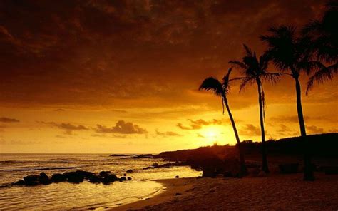 Gallery For Tropical Sunset Wallpaper Widescreen