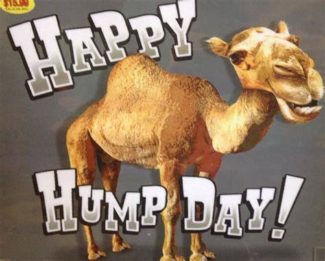Happy Hump Day Everyone Here S A Funny To Help You Get Through The Rest Of The Week Lol Otosection