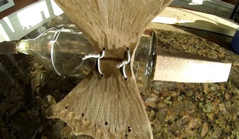 Cannot be there the hours that your fish have to eat? DIY Fish Shaped Nautical Wine Bottle Bird Feeder