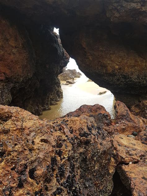 Forrest Caves 1215 Phillip Island Rd Newhaven Vic 3925 Australia