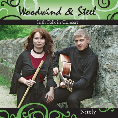 Audio Material Der Irish Folk Band Woodwind And Steel