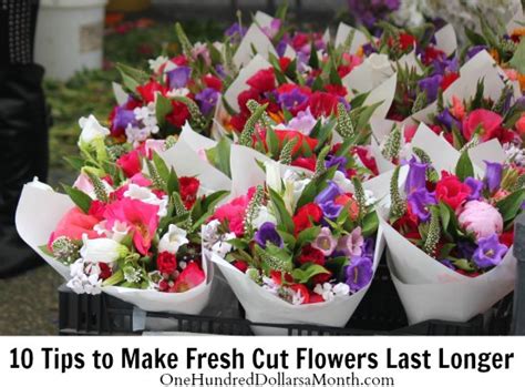 10 Tips To Make Fresh Cut Flowers Last Longer One