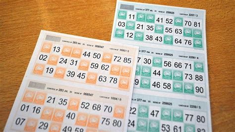 Descubre Cuántos Números Hay En Un Cartón De Bingo Ar