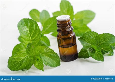 Small Bottle With Essential Peppermint Oil Fresh Mint Leaves Close Up