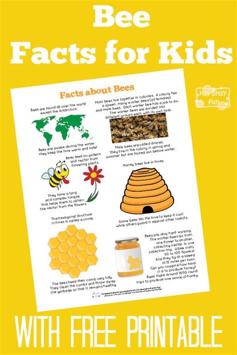 Fun Bee Facts For Kids Bee Facts Bee Facts For Kids Bees For Kids