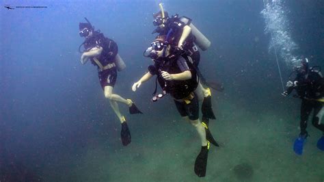Padi Divemaster Course In Koh Tao Live A New Lifestyle In A Paradise Island Scuba Diving