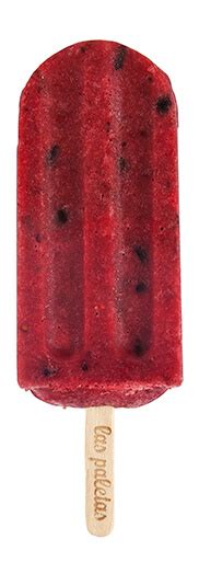 Berry Ice Cream By Las Paletas 100 Pressed And Natural