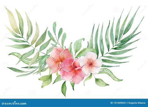 Watercolor Tropical Plants Bouquet Exotic Flowers And Leaves Stock