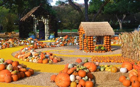 Pumpkin Village Dallas Arboretum And Botanical Garden Blog