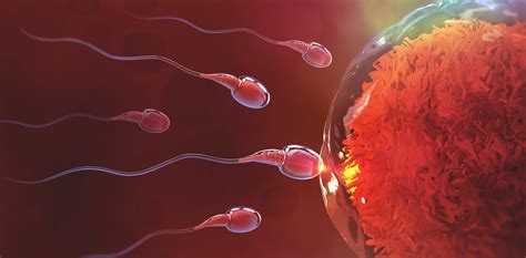 How We Solved The Mystery Of The Human Sperm Tail And What It Could Mean For The Future Of Ivf